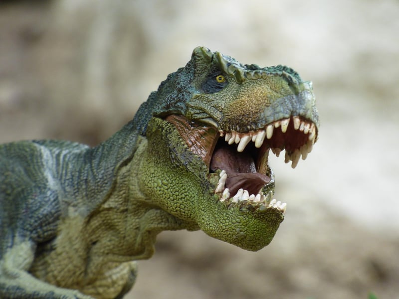 Dinosaurs Era